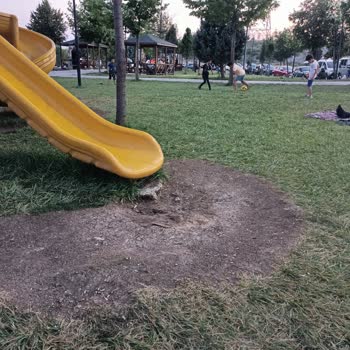 Sincan Belediyesi Sera Park Bakımsızlığı!