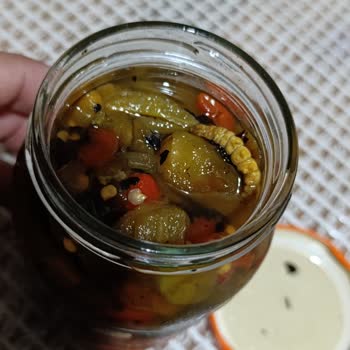 Melis Dünyası Közlenmiş Turşu Biberi Kurtlu