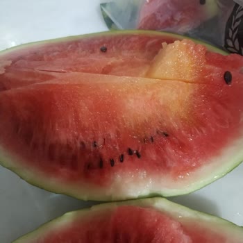 Hakmar'dan Aldığım Karpuz Bozuk Çıktı