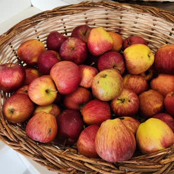 Turunç Resort Otel'e Rezervasyon Yaptırmadan Mutlaka Okuyun