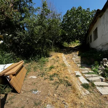 Vivense Teslimat Ve Kurulum Sorunu
