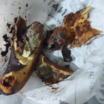 Un Sanatı Küflü Ay Çöreği