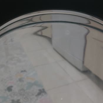 Siemens Çamaşır Makinesi Ve Servis Sorunları