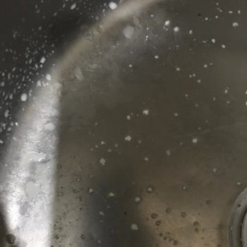 Pınar Et ve Süt Sütte Beyaz Parçacıklar Sorunu