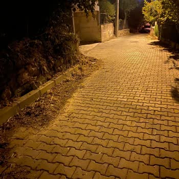 Gebze Belediyesi İsini Yapmıyor Şikayetimiz Var