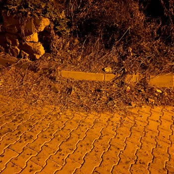 Gebze Belediyesi İsini Yapmıyor Şikayetimiz Var