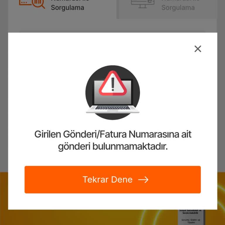 Temu Siparişim MNG Kargo Tarafından Kayboldu: Acil Çözüm Bekliyorum