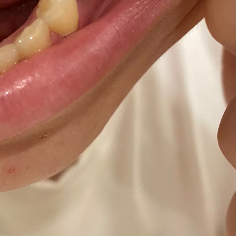 Ereğli Ağız Ve Diş Sağlığı Merkezi Diş Hekimi Hizmetleri Üzerine Değerlendirme