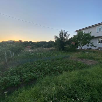 Ekinler Profesyonel El Aletleri Bosch Benzinli Odun Kesme Motoru Çalışmıyor