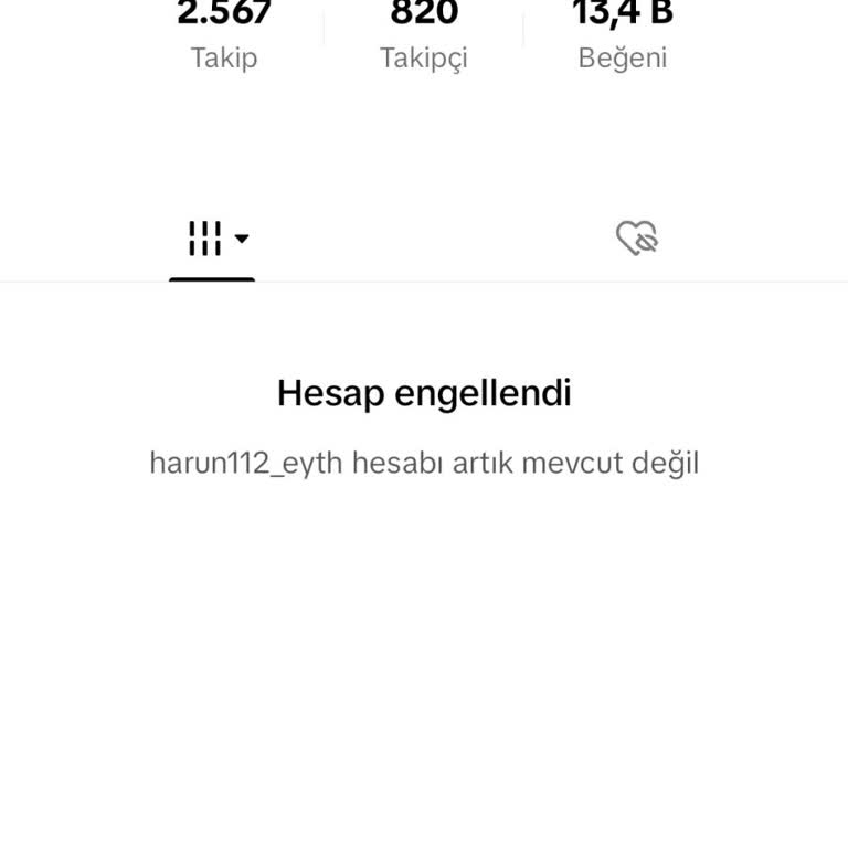 TikTok Haksız Yere Engellendi