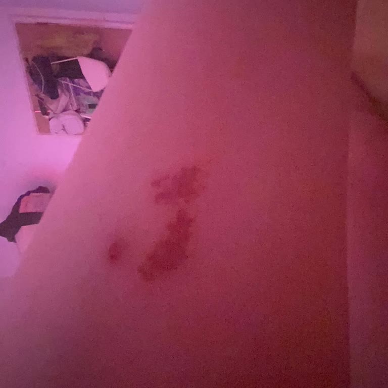 Jolly Joker Jj Pup Kayseri