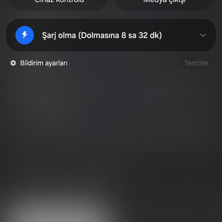 Samsung Telefon Samsung Hızlı Şarj Sorunu