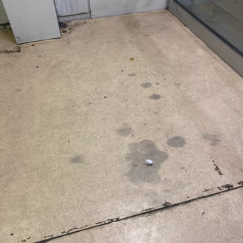 Şişli Hamidiye Etfal Eğitim ve Araştırma Hastanesi Hastane Temizliği Ve Donanımlar Üzerine Değerlendirme