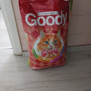 Goody Kediler İçin Alınan Mama Yüzünden Sorun Yaşıyorum!