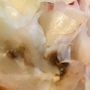 Baydöner Gelen Bozuk Ürün