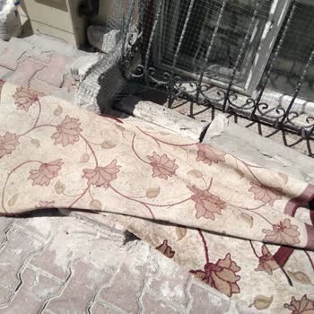 Esenyurt Belediyesi Lütfen Artık Birileri Yardımcı Olsun Tükendim Sinirlerim Kalmadı