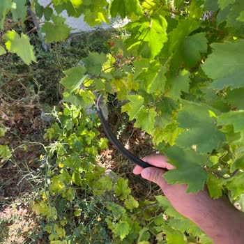 Türk Telekom İnternet Bir Türlü Çözülemedi