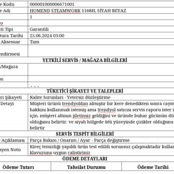 Homend 1167h Buhar Kazanlı Ütü