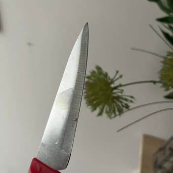 Karaca Züccaciye Paslanmaz Bıçak Paslanıyor!