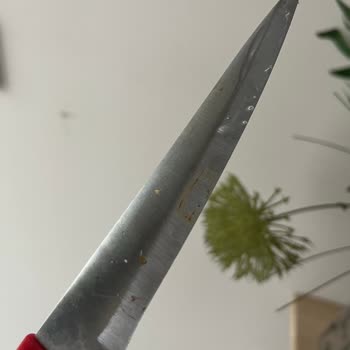Karaca Züccaciye Paslanmaz Bıçak Paslanıyor!