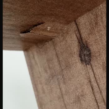 Montajix Adlı Firmanın Kalitesiz Hizmet Anlayışı