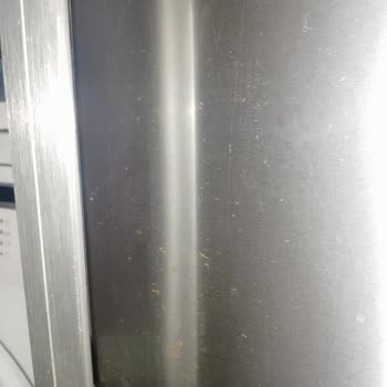 My Profilo Stainless Steel Fridge Rusts - Warranty Denied