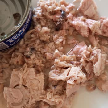 Derya Ton Balığı Bu Cismi Çözemedim Yiyemedim