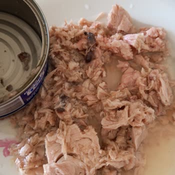 Derya Ton Balığı Bu Cismi Çözemedim Yiyemedim