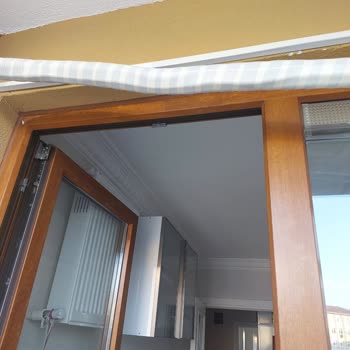 Baymak Kocaman Bir Pişmanlık