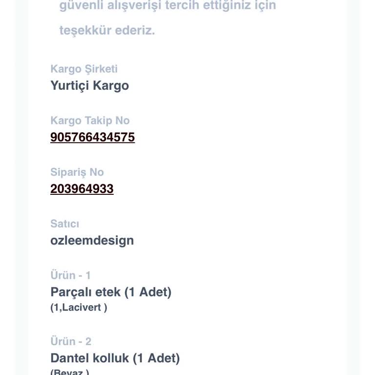 Shopier Hayalet Sayfa Ulaşamıyorum