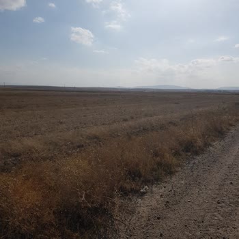 Eki aç