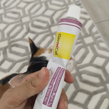 Petlebi Ezilmiş Ve Patlamış Ürün Teslimatı