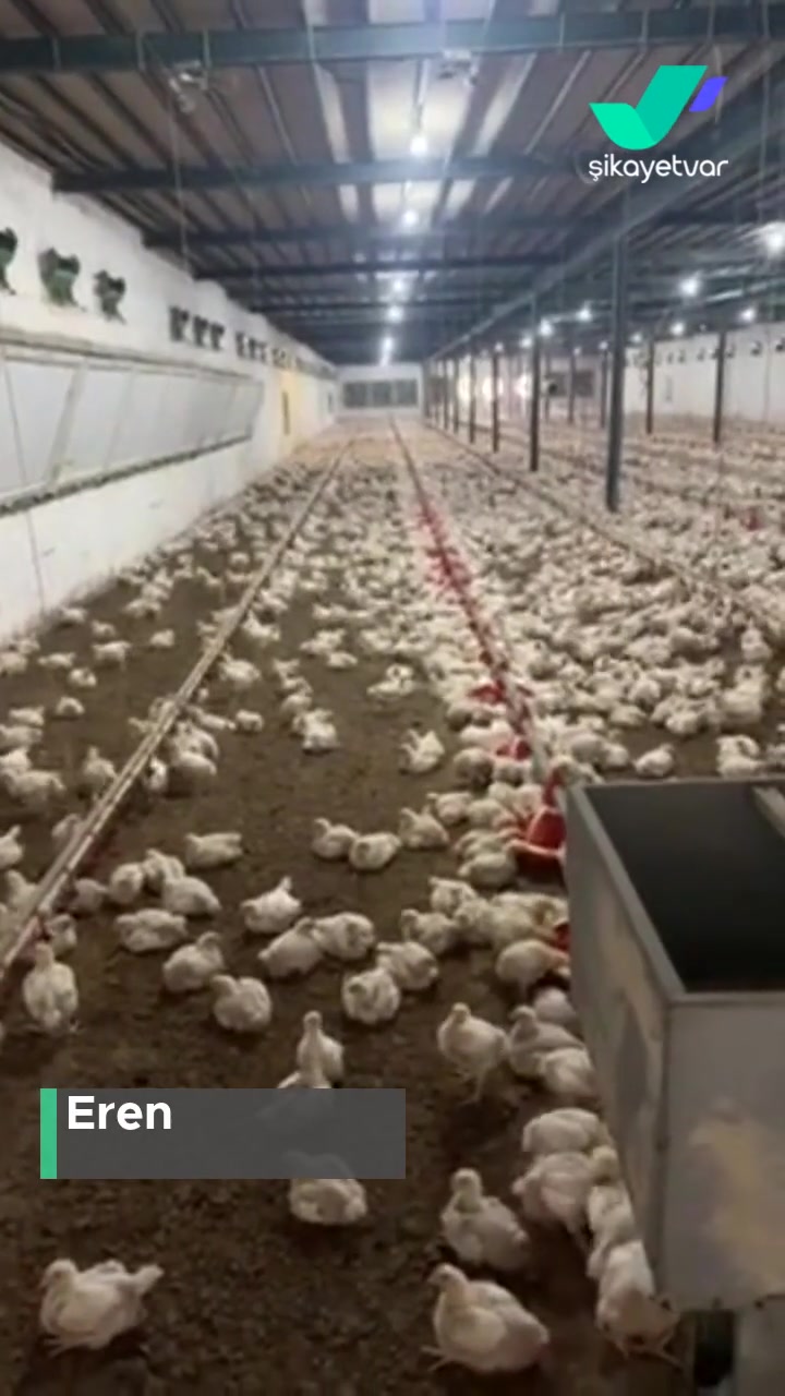 Enerji Ve Tabii Kaynaklar Bakanlığı Elektrik Kesinti Sıklığı Ve Dalgalanması! videonun kapak resmi