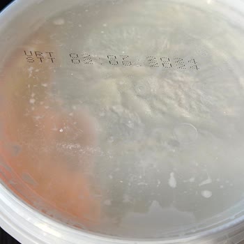 Saraybeyi Süt Ve Süt Ürünleri Beklenmeyen Koyun Yoğurdu Hayal Kırıklığı