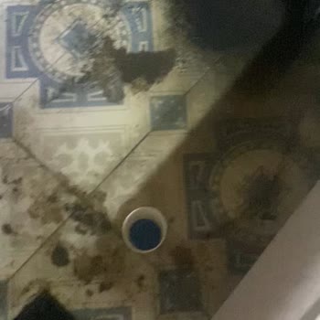 İSKİ Borusunu Patlatmış Dışarıdan Lağım Suyu Salonumda