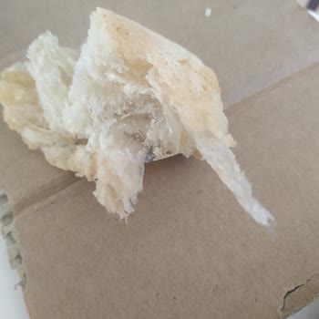 Aydın Halk Ekmek Halk Ekmek Ten Poşet Parçası Çıktı