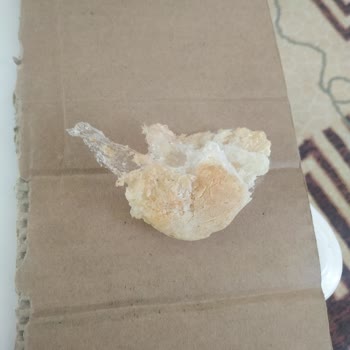 Aydın Halk Ekmek Halk Ekmek Ten Poşet Parçası Çıktı