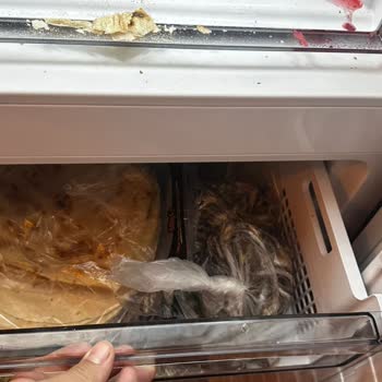 Arçelik Derin Dondurucu Sorunu: Ürünler Bozuldu, Mağduriyet Yaşıyorum