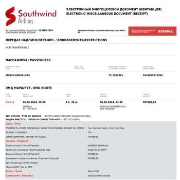Southwind Airlines дважды взимает плату за багаж