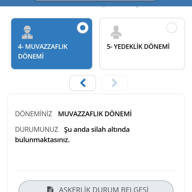 E-Devlet (Turkiye.gov.tr) Hala Silah Altında Gözüküyorum