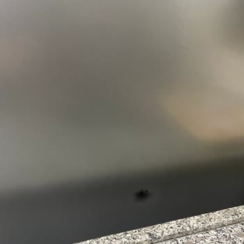 Arçelik Buzdolabı Siyah Leke Oluşması