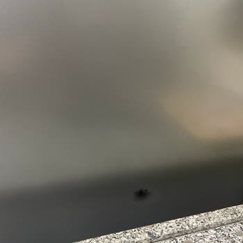 Arçelik Buzdolabı Siyah Leke Oluşması