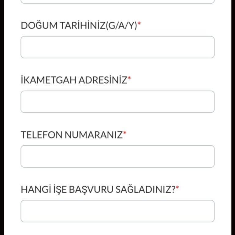 İşin Olsunda Firmanın Göndermiş Olduğu Bir Formu Doldurdum