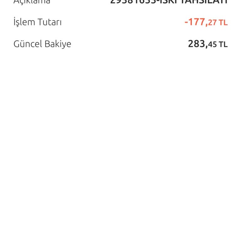 İSKİ Fatura 2 Kez Alınması