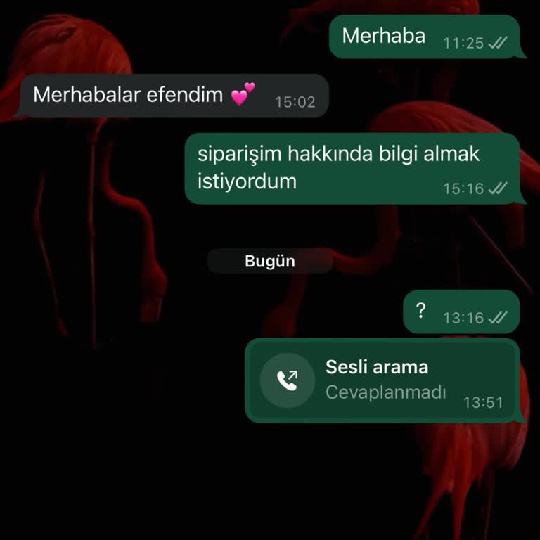 Baltic Türkiye Baltic Turkiye Kargo Şikayet