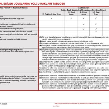 İptal Edilen Uçuşun 1 Günlük Otel Ve Yemek Parasını Ödemeyen Pegasus