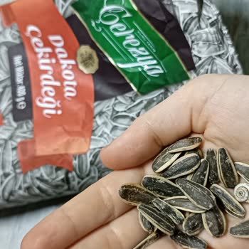 A101'den Aldığım Çerezya Marka Çekirdeğin İçinden Salyangoz Çıktı!