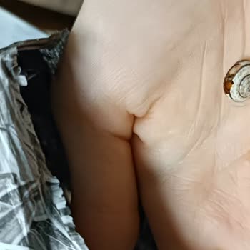 A101'den Aldığım Çerezya Marka Çekirdeğin İçinden Salyangoz Çıktı!