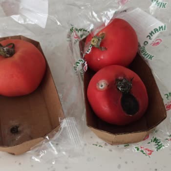 A101 Kapıda Sebze Bozuk