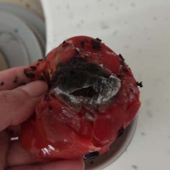 A101 Kapıda Sebze Bozuk